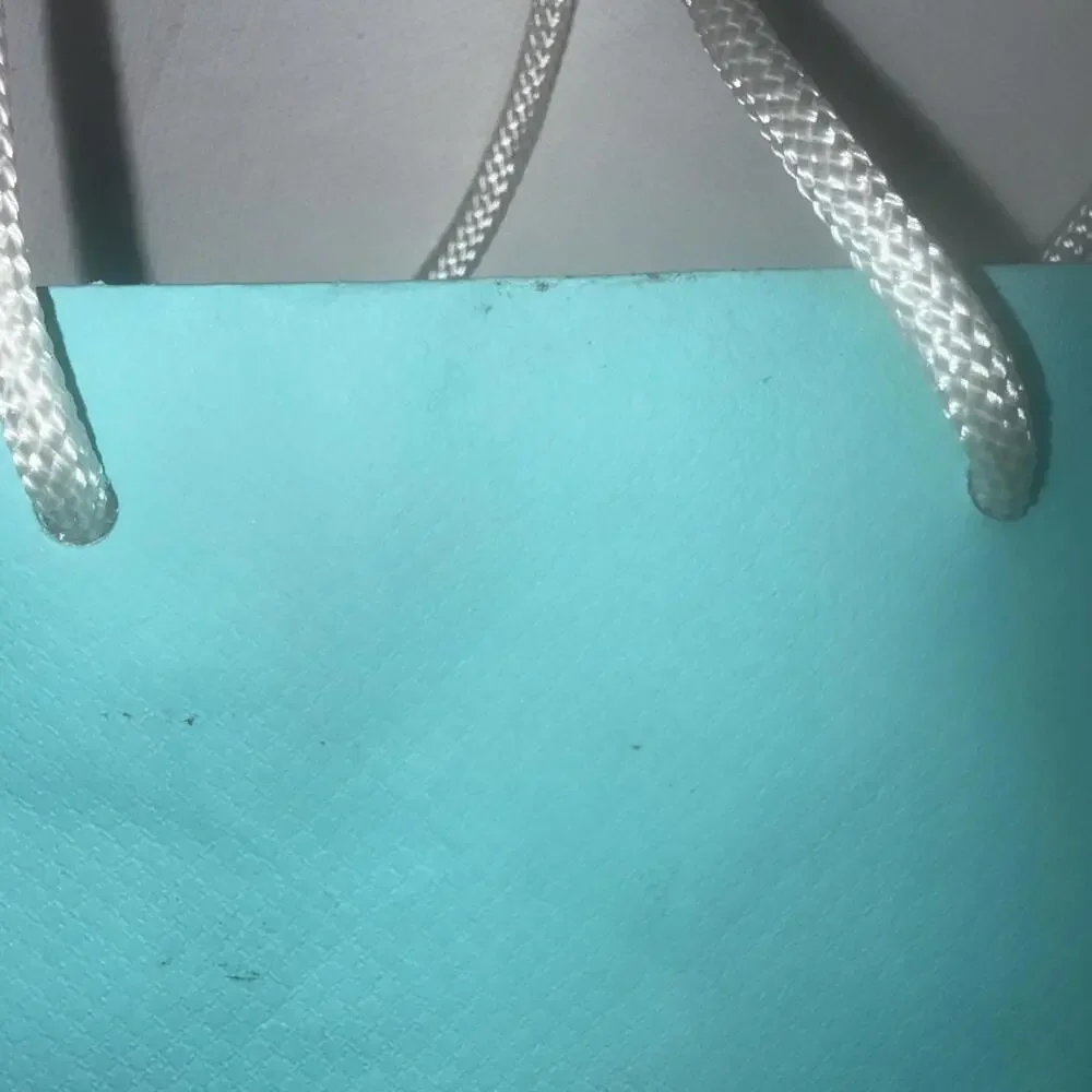 Tiffany & Co. Small Blue‎ Paper Shopping Gift Bag